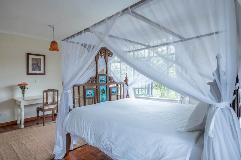 Forest House - Gallery 23